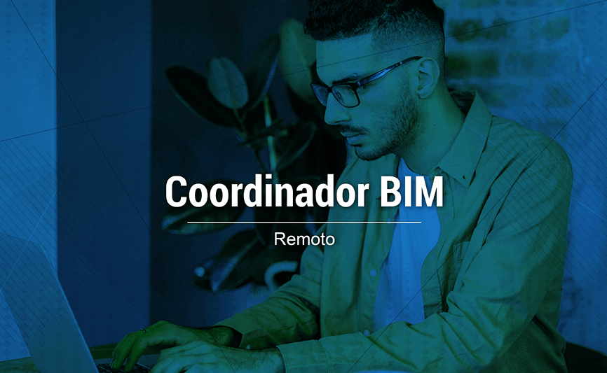 Coordinador BIM Remoto
