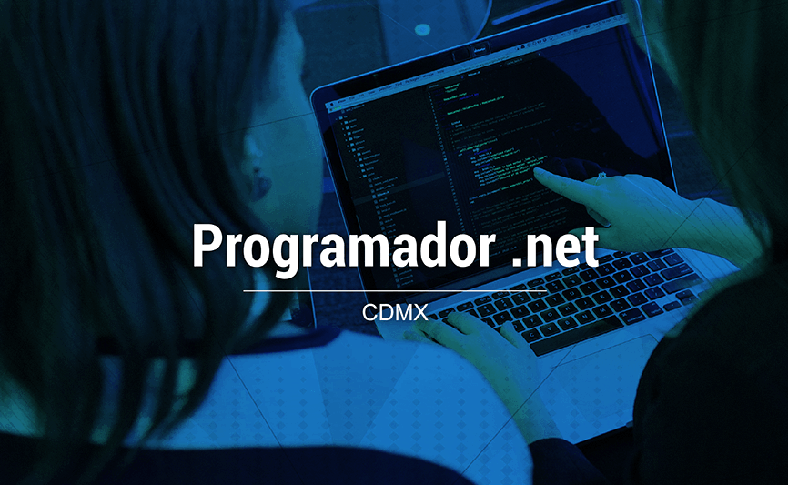 Programador .net